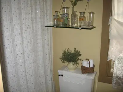 a bathroom with a white shower curtain and a toilet at B&B on seven acres with private bed & bath in Clinton Corners