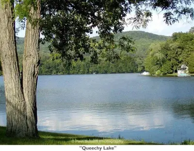 a tree sitting next to a large lake at Berkshires Studio Apartment at the Stephentown Hotel in Hancock