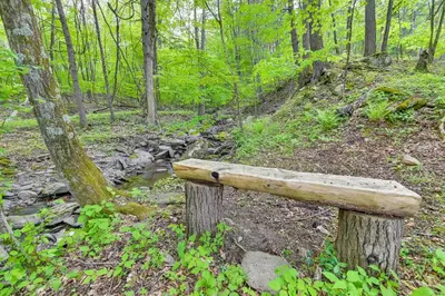 a wooden bench on a trail in the woods at Cozy Catskills Cabin - 12 Mi to Windham Mountain! in East Durham