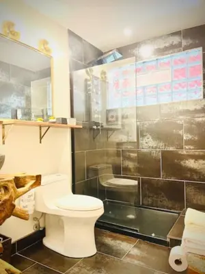 a bathroom with a toilet and a shower at Alpine Four Season Lodge Shandaken NY sleeps 18 in Shandaken
