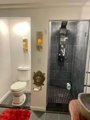 a bathroom with a shower with a toilet and a sink at Alpine Four Season Lodge, Belleayre NY, Sleeps 22, in Shandaken