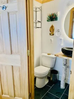 a bathroom with a toilet and a sink at Alpine Four Season Lodge, Belleayre NY, Sleeps 22, in Shandaken