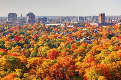 an autumn view of a city with colorful trees at Cozy Cottage in Cos Cob in Greenwich