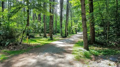 a dirt road in the middle of a forest at Classic Safari Tent in the Heart of the Adirondack Wilderness, near Lake George, New York in Corinth