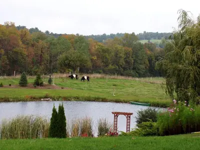 two horses grazing in a field next to a pond at Gorgeous Getaway Suite in a Converted Barn near Hudson, New York in Hudson