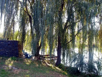 a group of benches under a tree next to a lake at Unique Vacation Rental on a Working Farm near Hudson, New York in Hudson