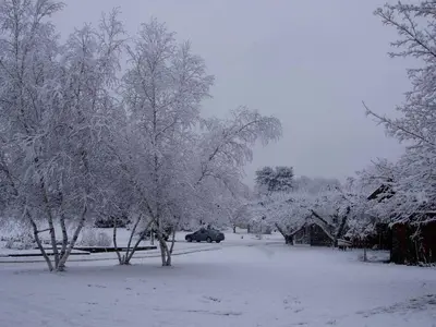 a snow covered yard with trees and a car parked at Unique Vacation Rental on a Working Farm near Hudson, New York in Hudson