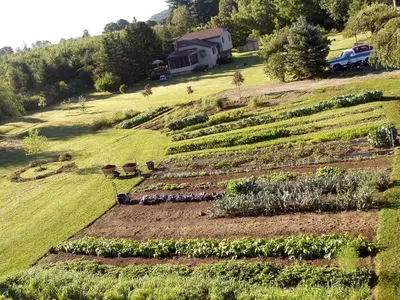 a farm field with rows of plants on a hill at Pet-Friendly Vacation Rental on a Working Farm near Hudson, New York in Hudson