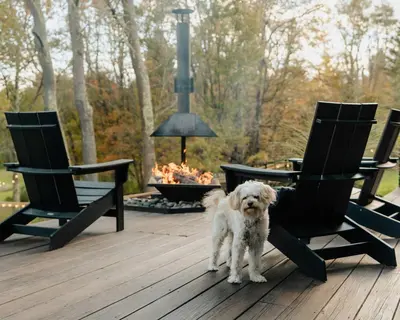 a white dog standing on a deck next to chairs at Suite 001 in Kenoza Lake