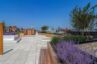 a rooftop garden with purple flowers on a building at Blueground Williamsburg rooftop nr McCarren Park NYC-2076 in Brooklyn