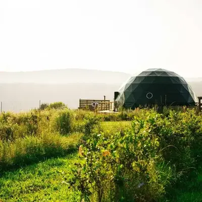 'The Bear Dome' with Barrel Hot Tub in Franklin