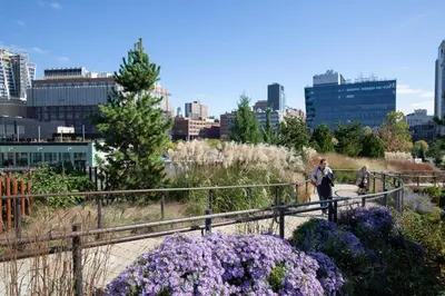 a couple of people walking through a garden with purple flowers at Central Chelsea 1BR w Gym Doorman NYC-20 in New York