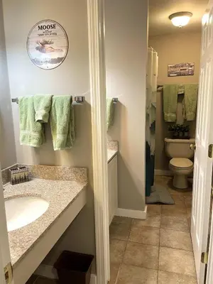 a bathroom with a sink and a toilet at Ski On Off 1BR Suite 1st Flr Sleeps 4 Jiminy Peak in Hancock